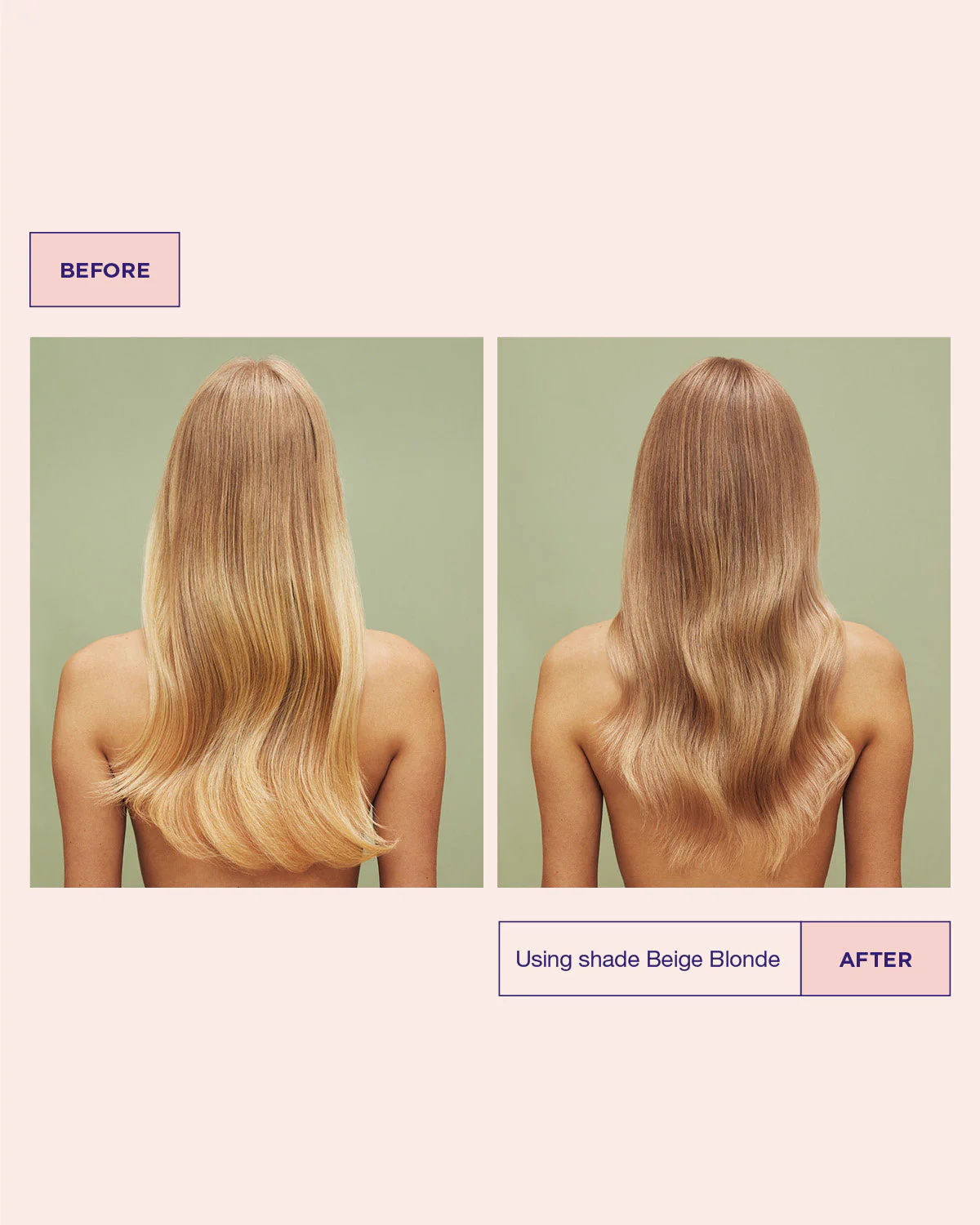 Color Refresh Beige Blonde - Image 2
