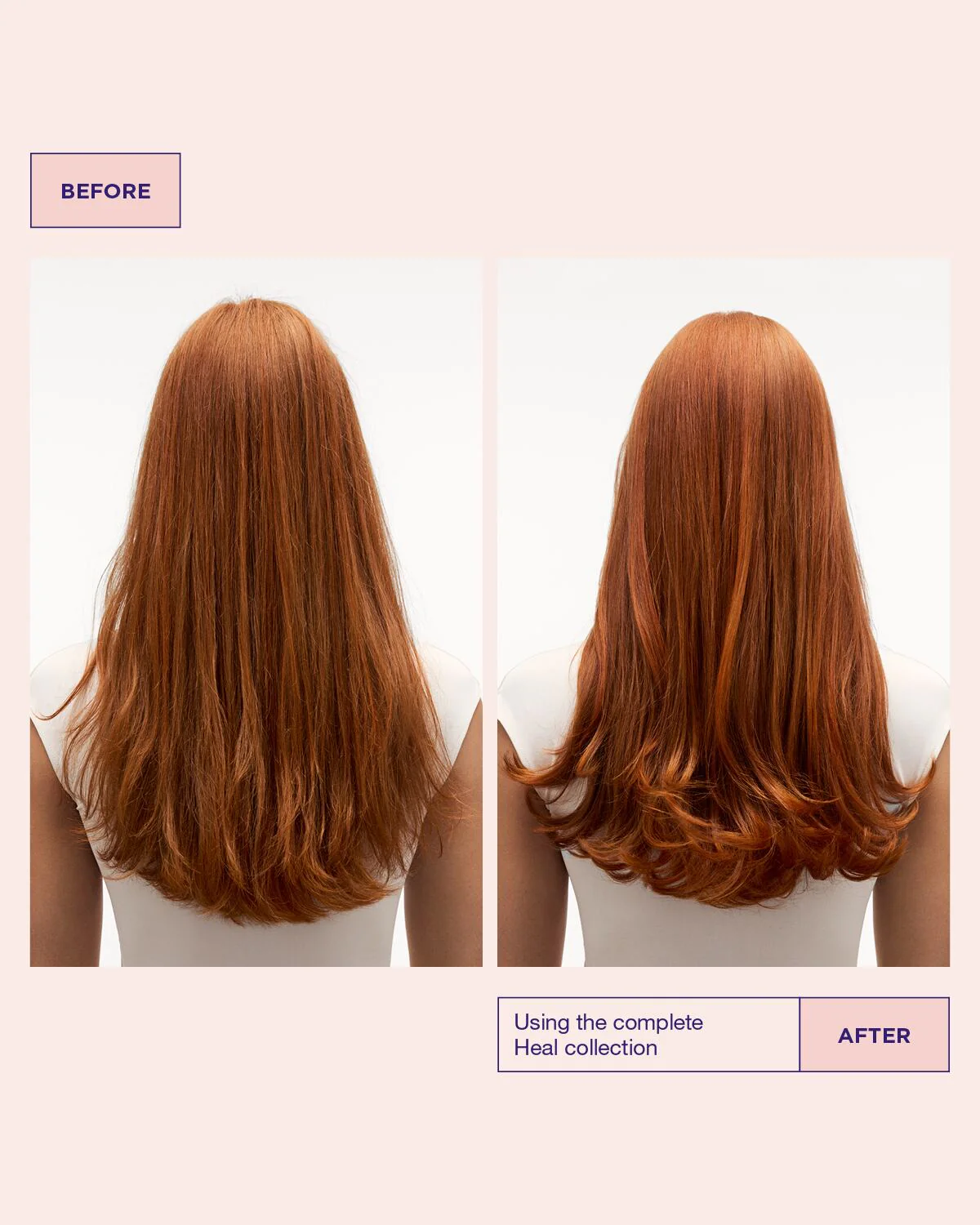 Head & Hair Heal Booster Masque - Image 4